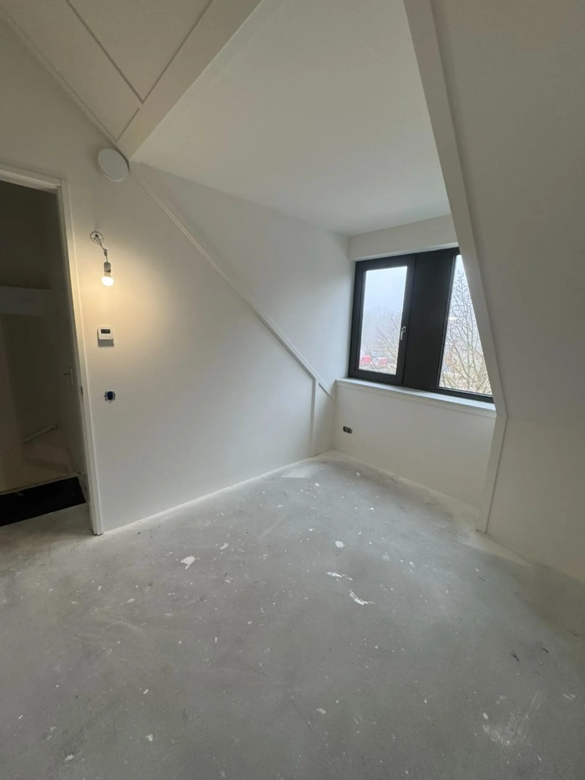 Attic finished and latex sprayed